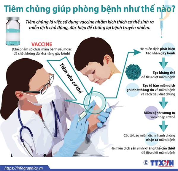 Bài truyền thông: Lợi ích của vacxin và tiêm chủng năm học 2024-2025